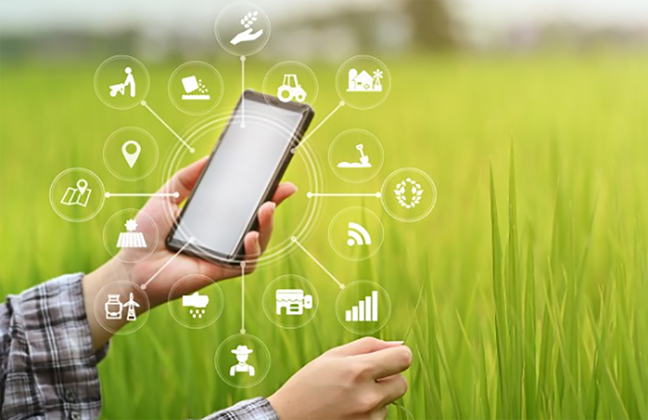 AgTechUCD Programmes
